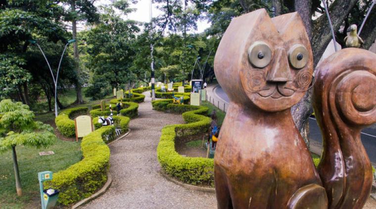 Gato del río. Secretaría de Turismo de Cali