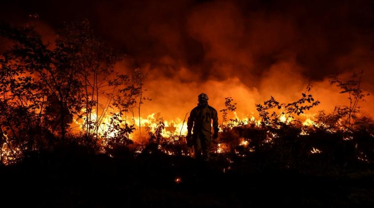 Foto por AFP