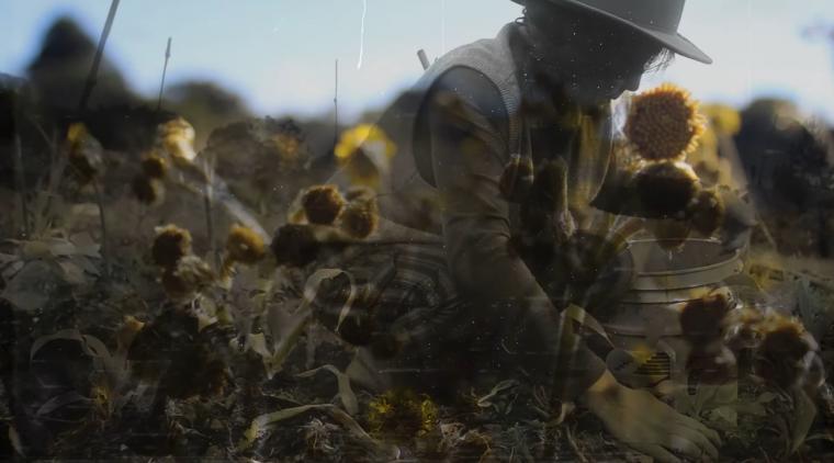 “Mujer Laberinto” de Frailejón