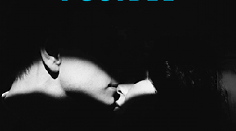 Portada Una novela posible