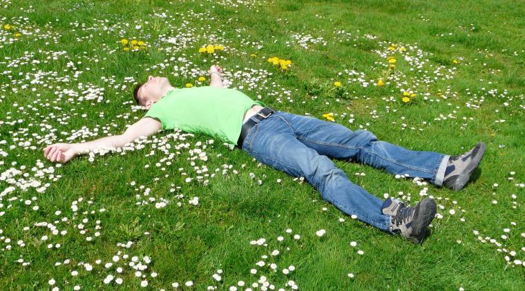 Foto de Pixabay: https://www.pexels.com