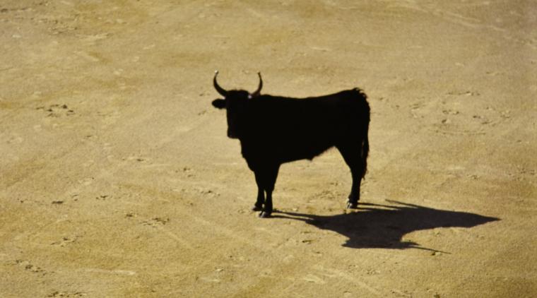 Foto de Piermario E' en Unsplash