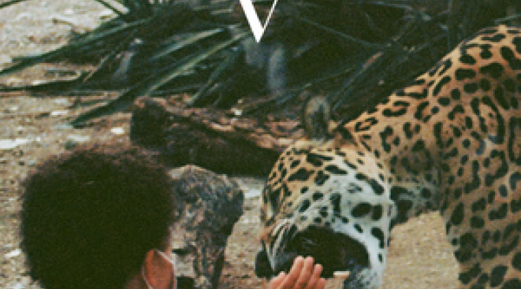 V Unknown Mortal Orchestra