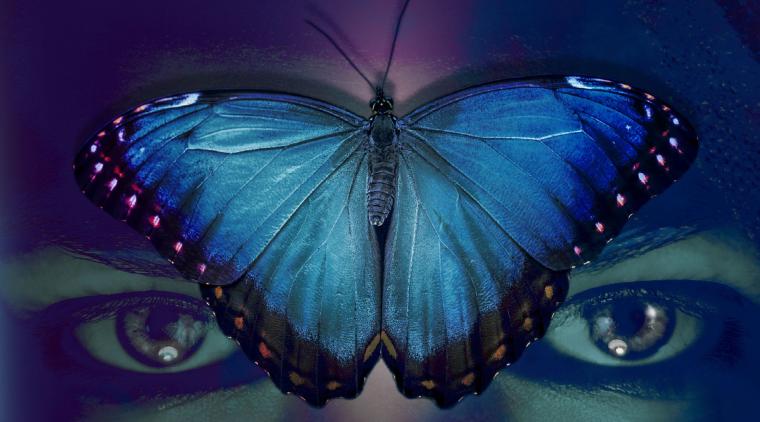 'Mariposa azul cobalto', novela inspirada en un secuestro real | Foto de Editorial Planeta