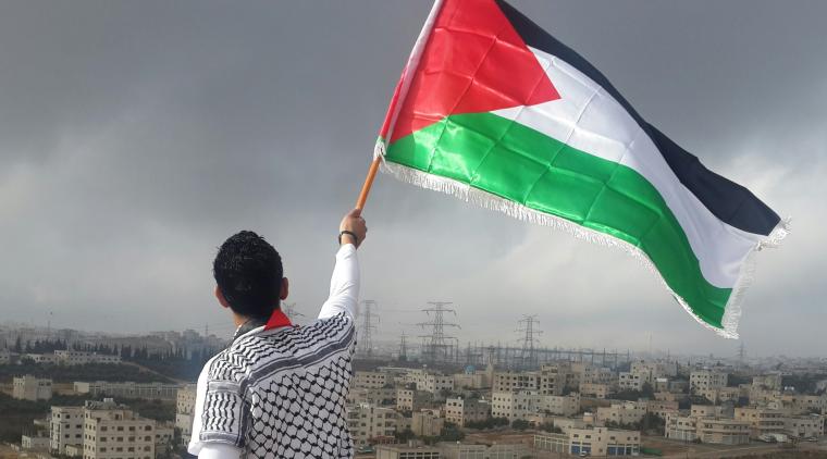 Brian Eno anuncia concierto a favor de Palestina | Foto de Unplash