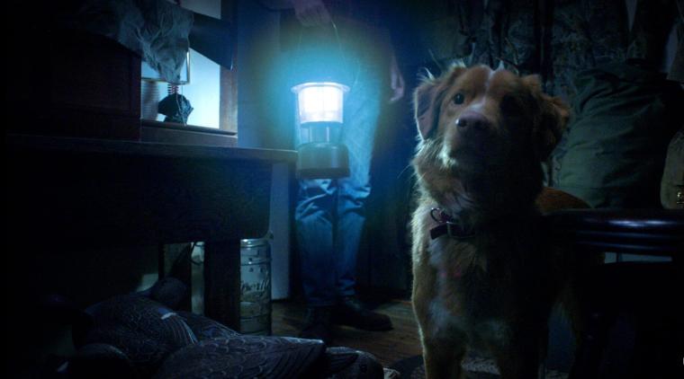 Película ‘Good Boy’ 2025 