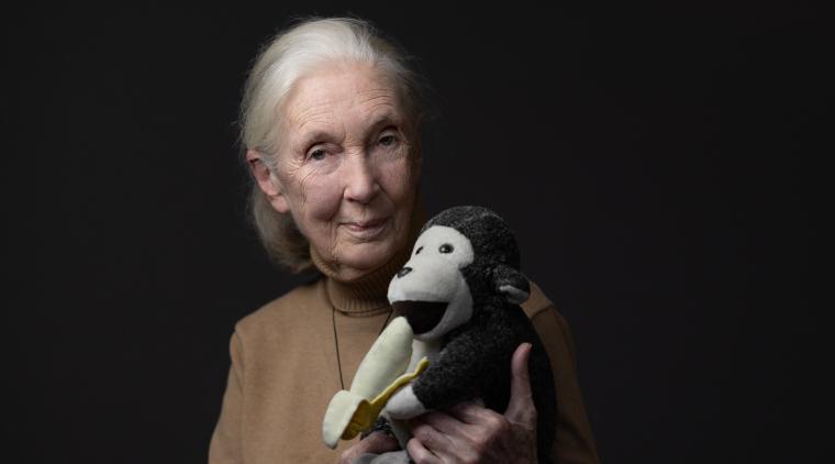 De qué murió la científica Jane Goodall | Foto AFP