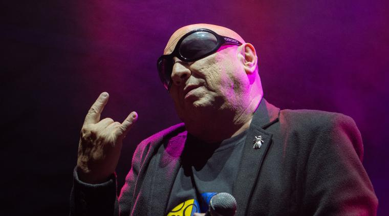 ¿Cómo La Mosca Tsé-Tsé hizo bailable el desamor? | Foto AFP