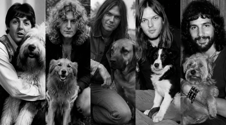 Artistas del rock y sus mascotas