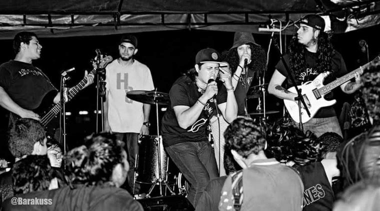"El día que el Punk Madrugó Vol. 1": Un compilado investigación-manifiesto