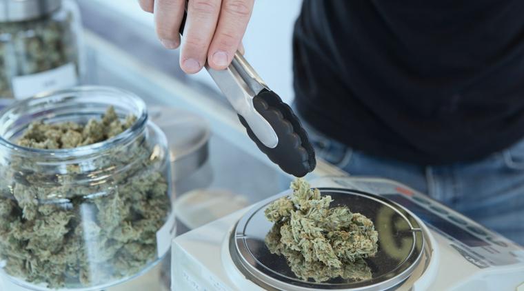 Cannabis medicinal podrá conseguirse en las farmacias de colombia - Photo by Add Weed on Unsplash