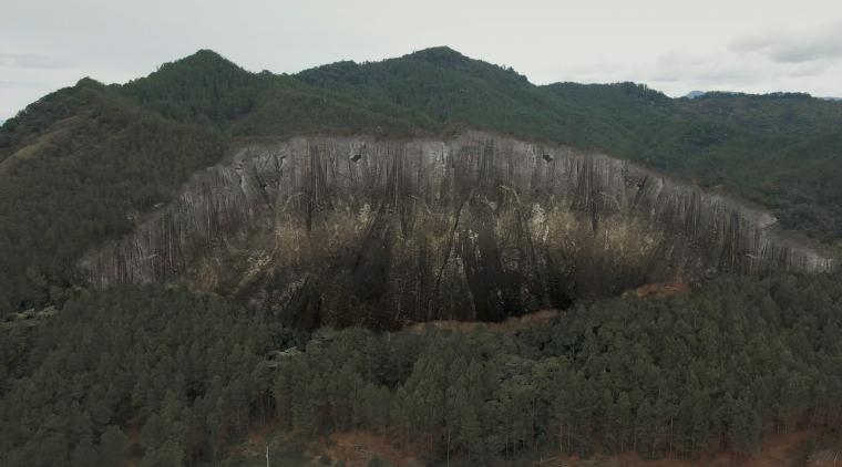 Foto: Cortesía Verde como el oro