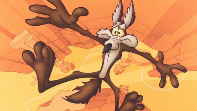 El Coyote.