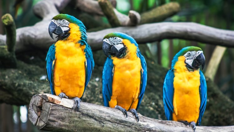 Photo by Sid Balachandran on Unsplash
