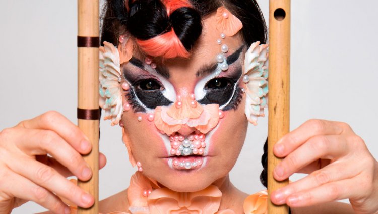 Björk. Foto tomada de pitchfork.com