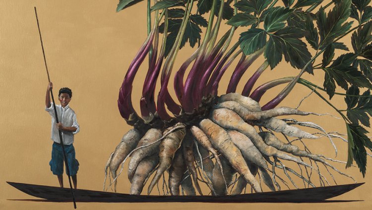 'Arracacha de Cajamarca', de Pedro Ruíz, parte de la colección Oro Espíritu y Naturaleza de un Territorio.