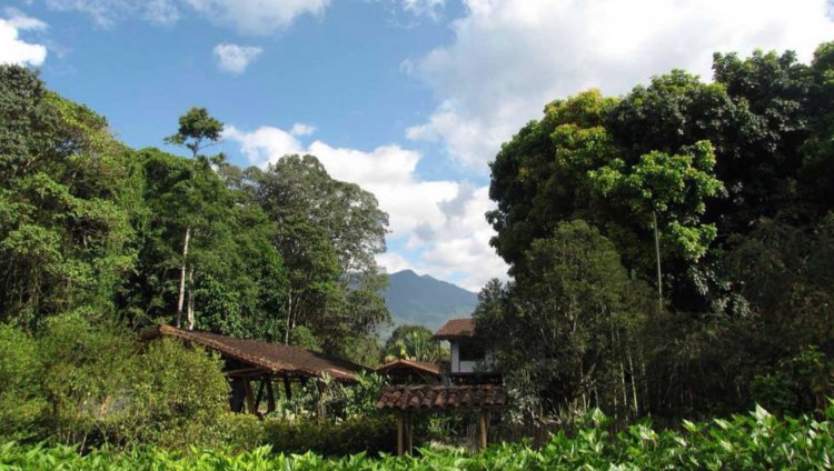 Jardín Botánico del Quindío