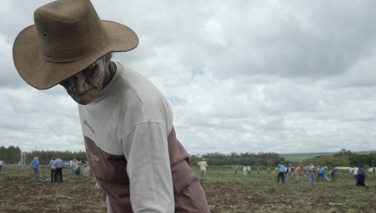 Sin Tierra, (Chão).
