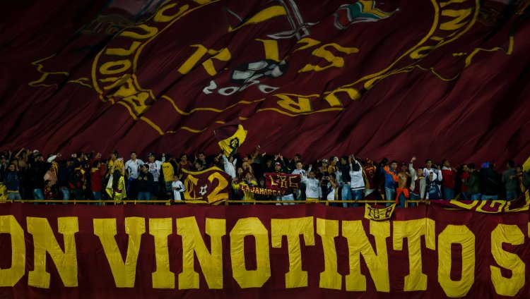 Hinchas del Deportes Tolima. Foto: Colprensa.
