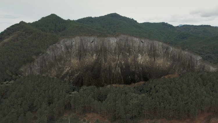 Foto: Cortesía Verde como el oro Foto: Cortesía Verde como el oro