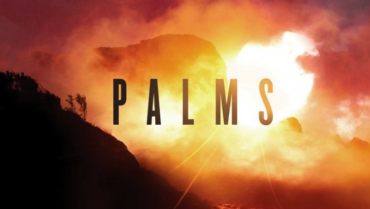 Radiónica Recomienda: Palms Radiónica Recomienda: Palms