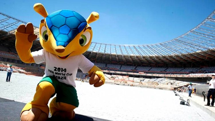 "Fuleco" podría desaparecer pronto "Fuleco" podría desaparecer pronto