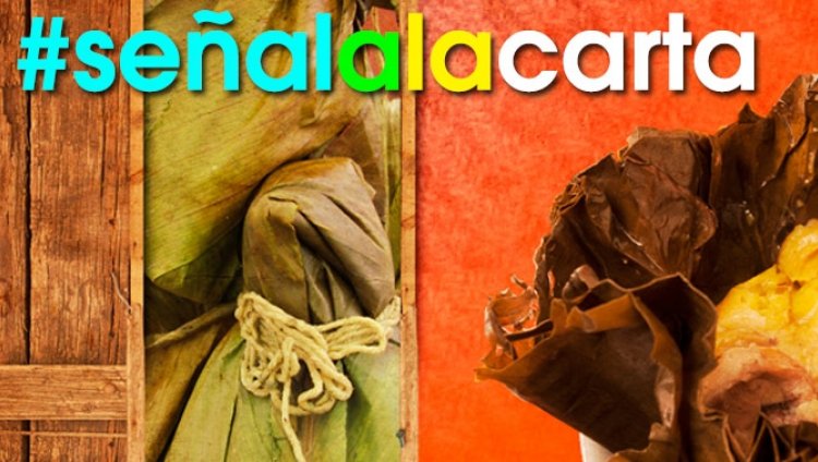 #senalalacarta #senalalacarta