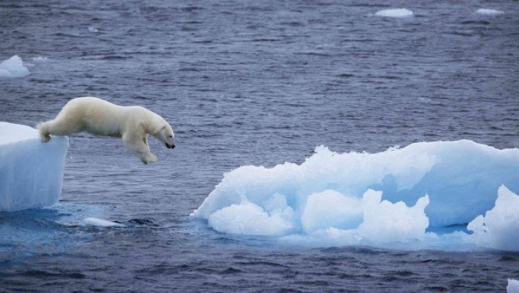Si todo el hielo del planeta se derritiera Si todo el hielo del planeta se derritiera