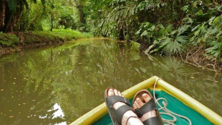Ecoturismo: ¿Cómo reducir las huellas de carbono mientras viajas? Ecoturismo: ¿Cómo reducir las huellas de carbono mientras viajas?