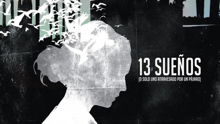 Teatro: "13 sueños" (O solo uno atravesado por un pájaro) Teatro: "13 sueños" (O solo uno atravesado por un pájaro)