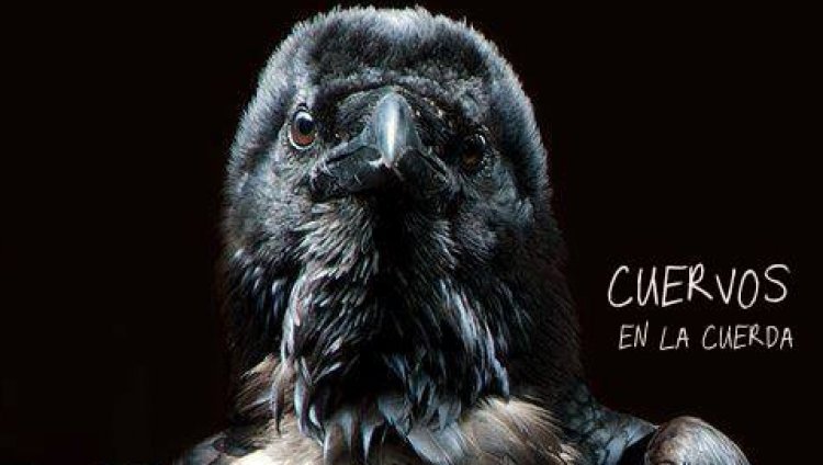 "Cuervos en la cuerda", lo nuevo de Revólver Plateado "Cuervos en la cuerda", lo nuevo de Revólver Plateado