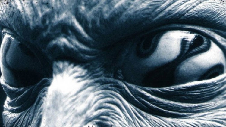 ¿Nuevo disco de Tool? ¿Nuevo disco de Tool?
