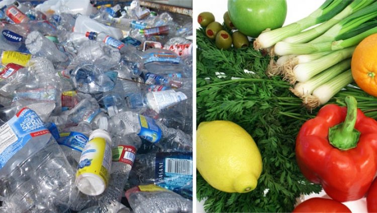 Reciclaje Delicioso Reciclaje Delicioso