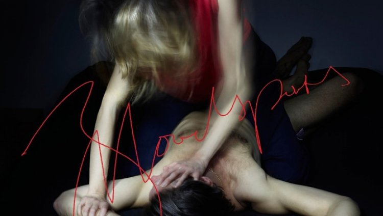Estreno: "Bloodsports" de Suede Estreno: "Bloodsports" de Suede