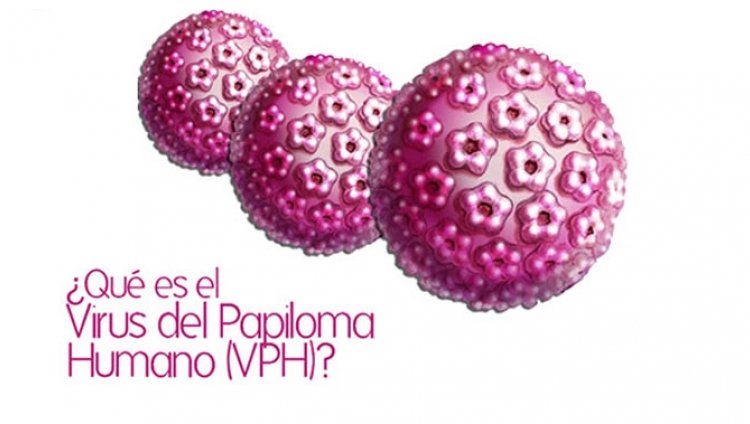 Lates: Virus del papiloma humano Lates: Virus del papiloma humano