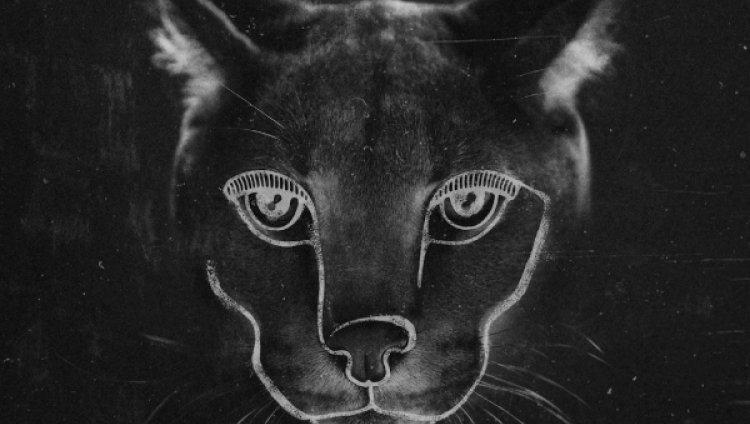Así se ve el nuevo álbum de Disclosure Así se ve el nuevo álbum de Disclosure