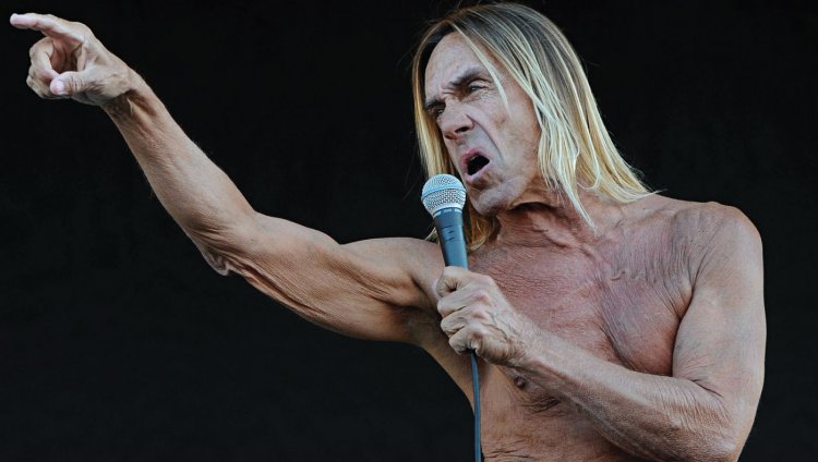 Iggy Pop visitará Colombia Iggy Pop visitará Colombia