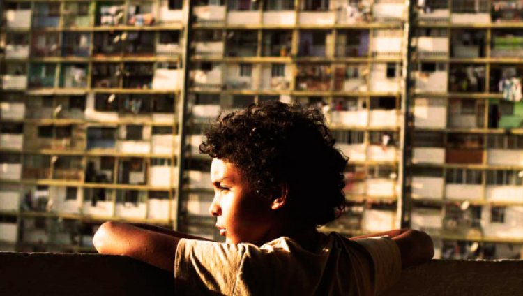 'Pelo malo', una historia cinematográfica que salva el mundo 'Pelo malo', una historia cinematográfica que salva el mundo