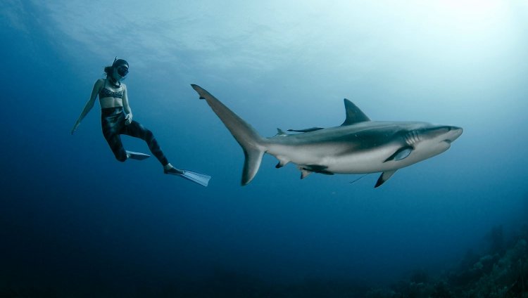 Sofía Gómez Uribe, nuevo récord mundial en inmersión de apnea Todas las imágenes tomadas de www.sofiagomezuribe.com