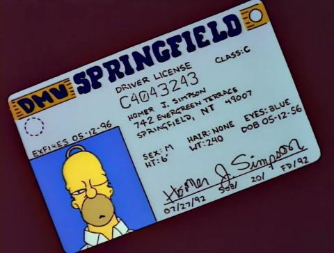 LICENCIA DE CONDUCIR HOMERO SIMPSON