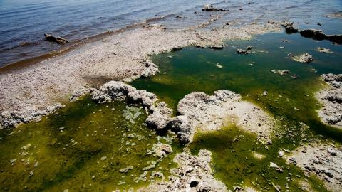 El fracking es toxico pruebas