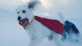 Aumentan las búsquedas de adopción de perros luego del estreno de ‘Superman’ 