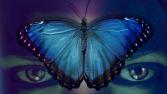 'Mariposa azul cobalto', la novela caleña que transforma el dolor en literatura 