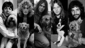 Canciones de rock inspiradas en perros 