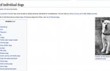  20 páginas random de internet para perder el tiempo 