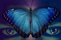 'Mariposa azul cobalto', la novela caleña que transforma el dolor en literatura 