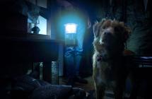  ‘Good Boy’, película de terror contada desde la perspectiva de un perro 