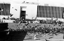  Películas, documentales y podcast para entender la toma y retoma del Palacio de Justicia 40 años después 