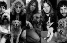  Canciones de rock inspiradas en perros 