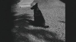 El mundo interior de Paula Soto es el eje de este nuevo trabajo. 